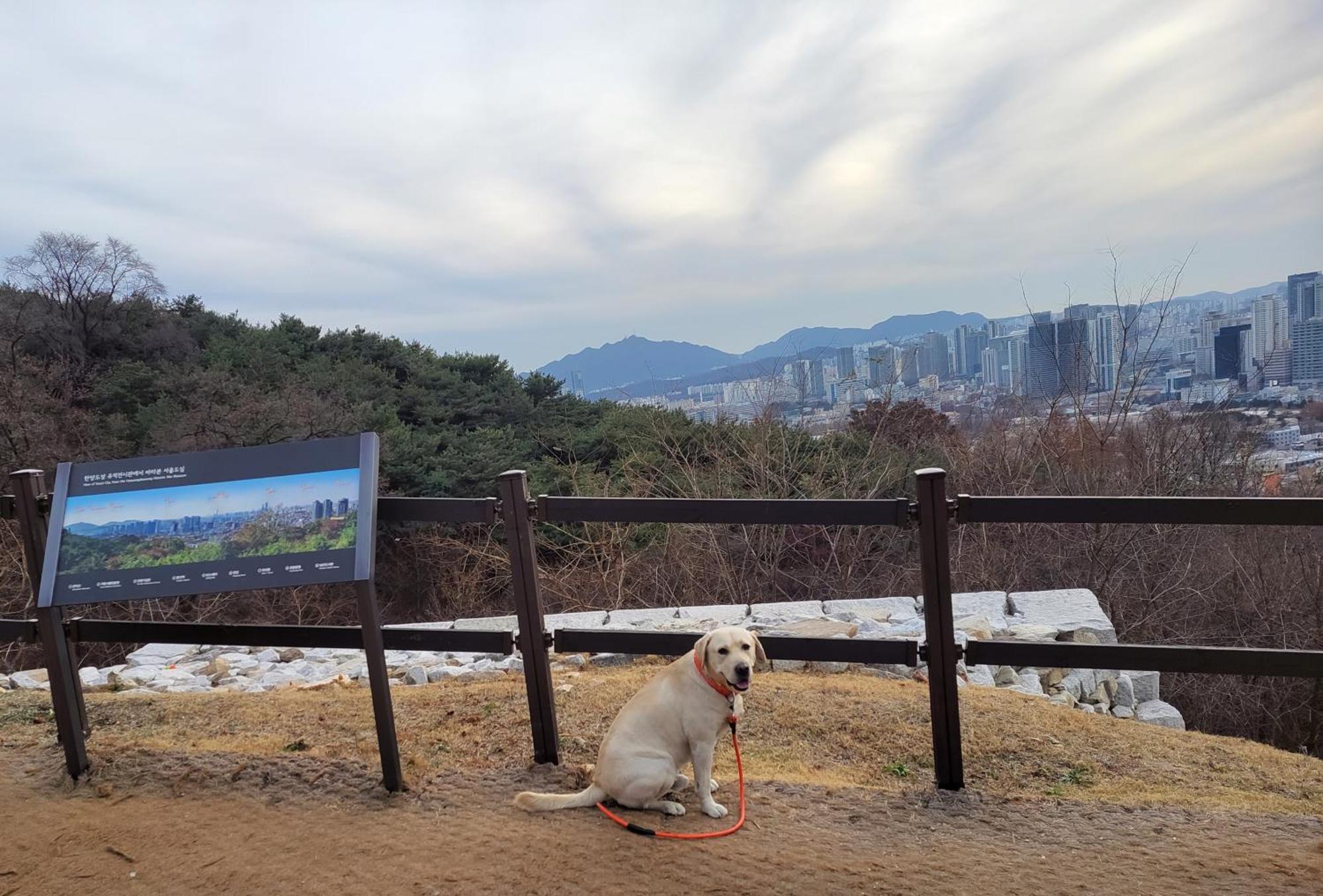 Căn hộ Newly Renovated 2 Bedroom #7 Seoul